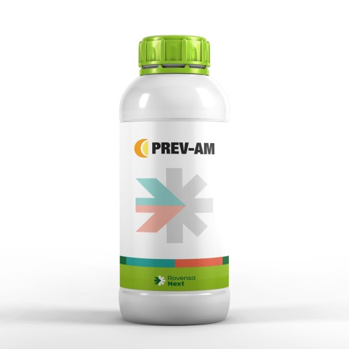 prevam1.jpg