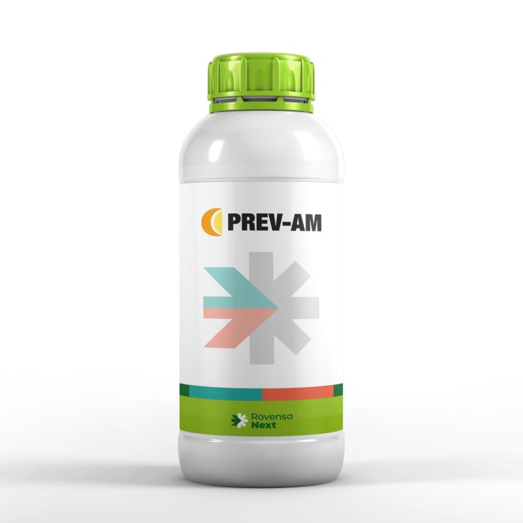 prevam1.jpg