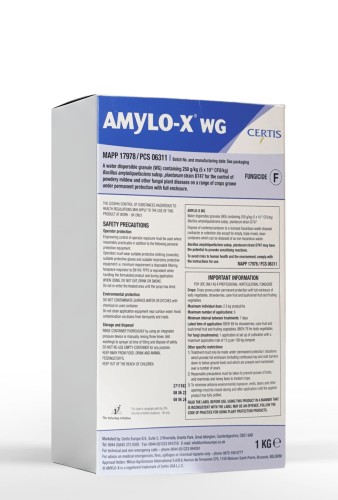 amylox.jpg