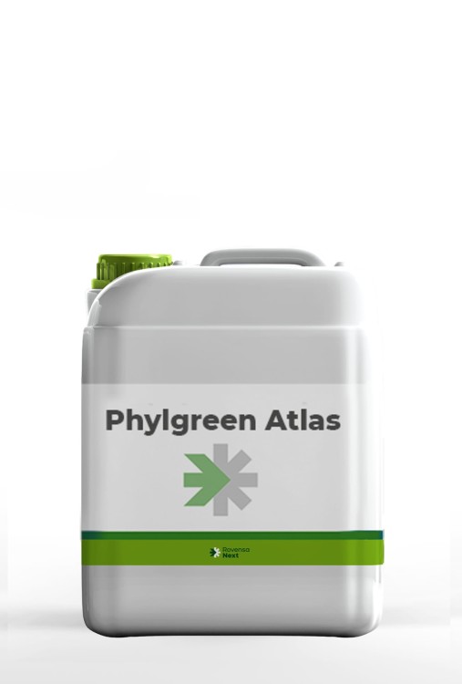 phylgreen atlas5.jpg