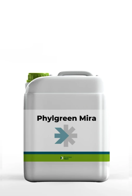 phylgreen mira5.jpg