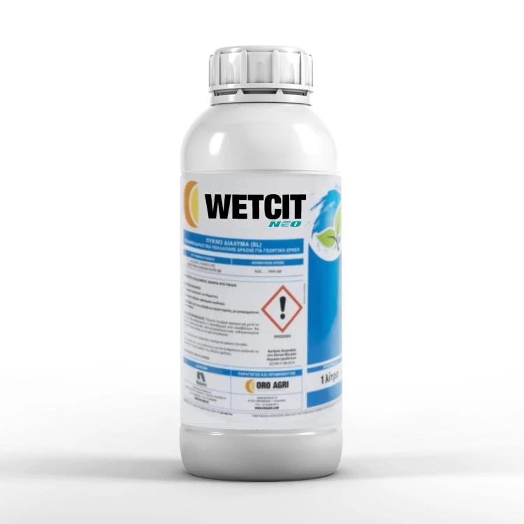 WETCITNEO1.jpg