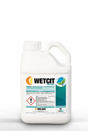 wetcitneo.jpg