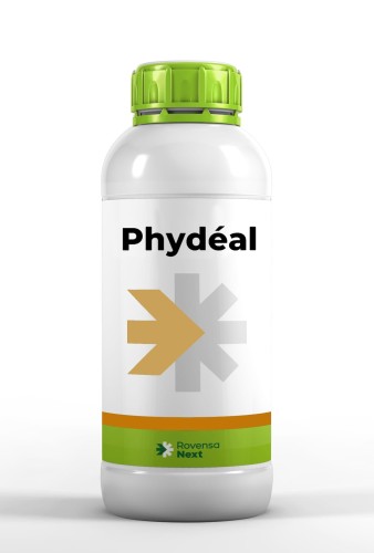phydeal1.jpg