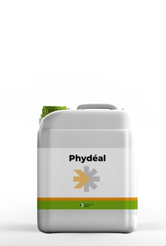 phydeal.jpg