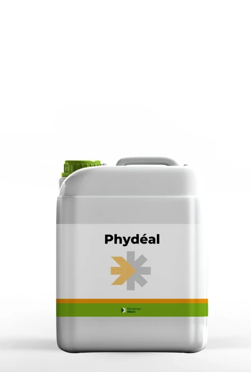 phydeal.jpg