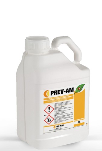 prevam5.jpg