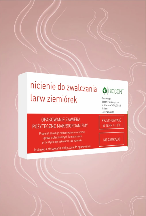 ziemiórka.jpg