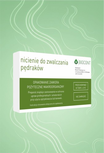 pędraki.jpg