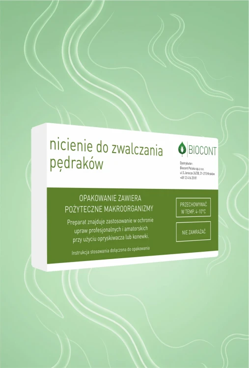 pędraki.jpg
