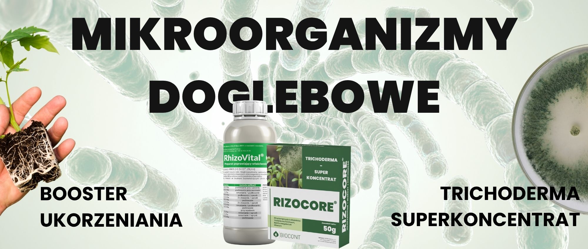 Mikrobiologiczne preparaty doglebowe Rizocore i RhizoVital C5